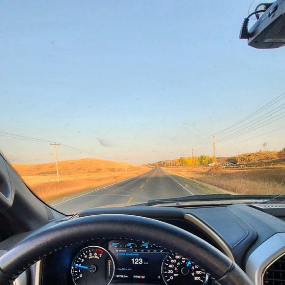 Meet your Posher, Matthew - Picture 1 of 1